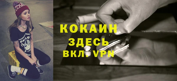 мяу мяу мука Волоколамск