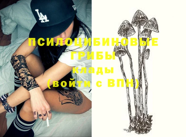 мяу мяу мука Волоколамск
