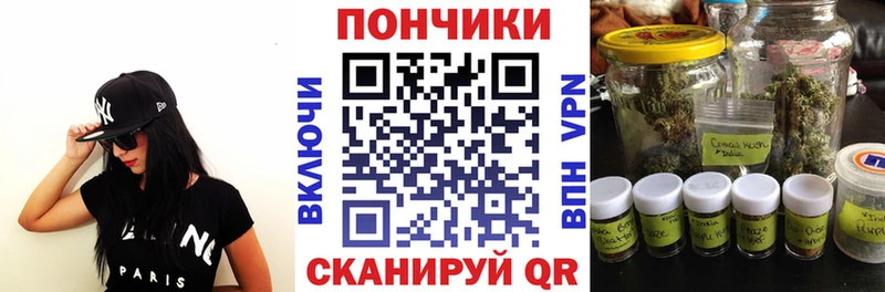 Конопля план  Гдов 